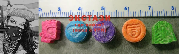 стаф Каменка