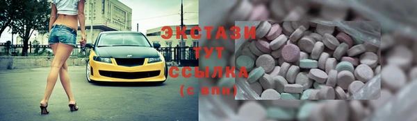 стаф Каменка