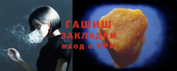 стаф Каменка