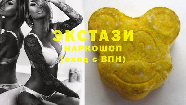 стаф Каменка