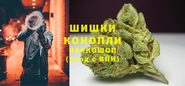 стаф Каменка