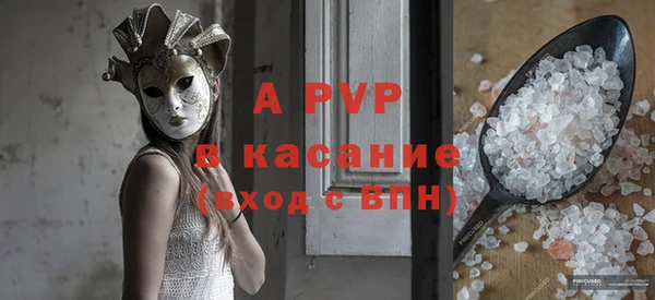 стаф Каменка