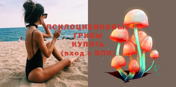 стаф Каменка