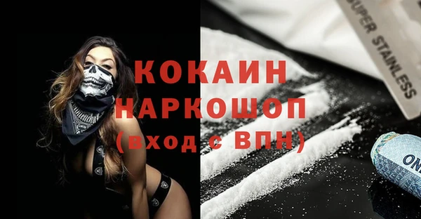 стаф Каменка